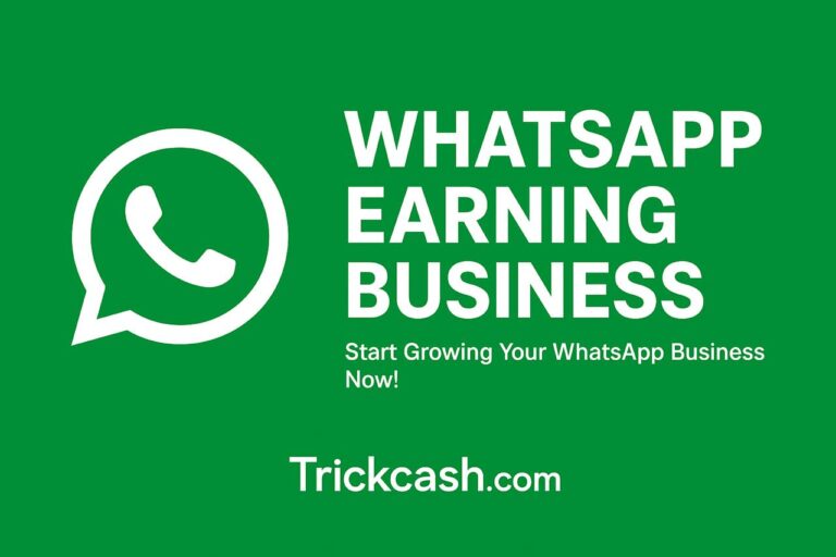 WhatsApp Business Idea